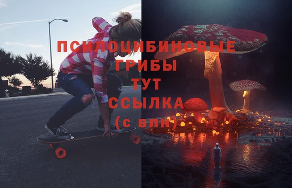 Альфа ПВП Арсеньев