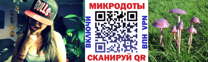 закладки  Соликамск  Псилоцибиновые грибы Cubensis 